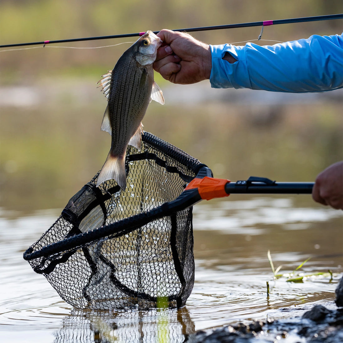 KastKing Pontus Fishing Net Landing Net Foldable & Lightweight Freshwater Fishing Landing Net with Built in Length Scale