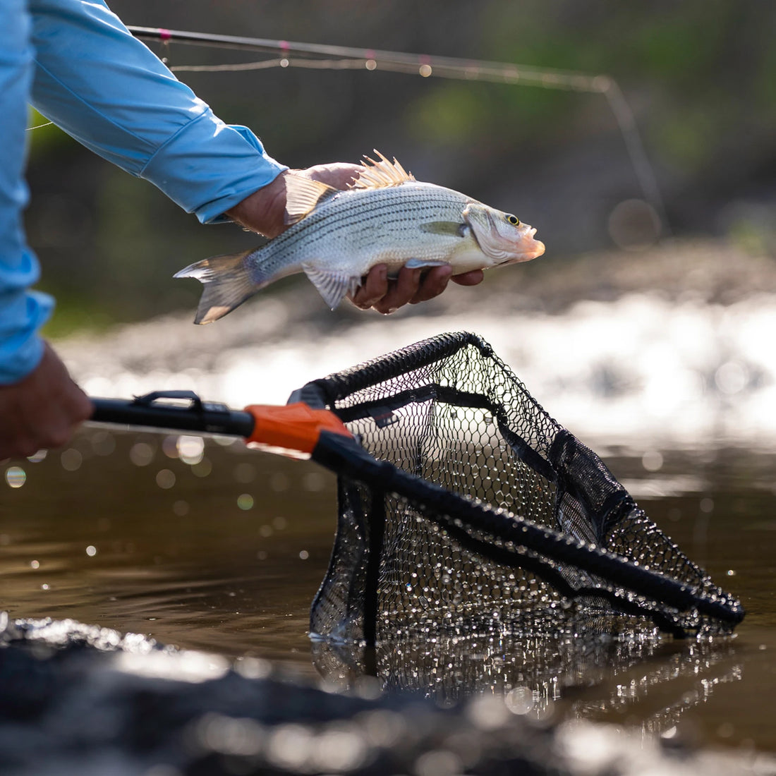 KastKing Pontus Fishing Net Landing Net Foldable & Lightweight Freshwater Fishing Landing Net with Built in Length Scale